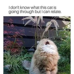 Meet your Posher, Tyanna